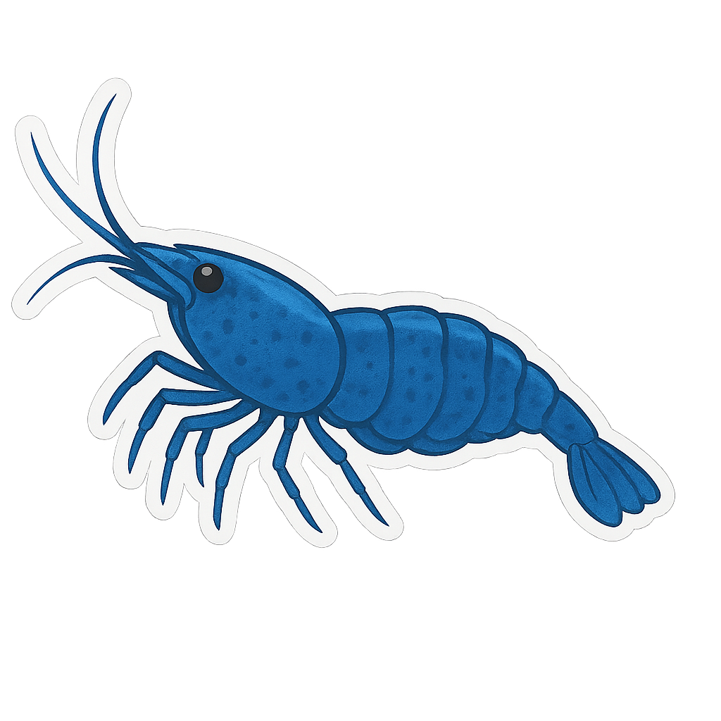 Neocaridina Shimp Stickers - 12 pack