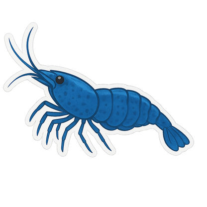 Neocaridina Shimp Stickers - 12 pack