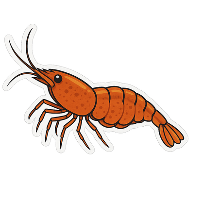 Neocaridina Shimp Stickers - 12 pack