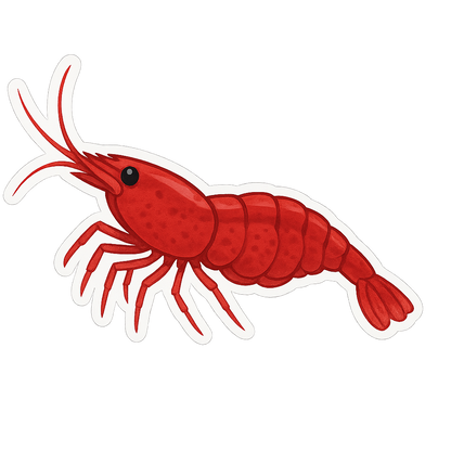 Neocaridina Shimp Stickers - 12 pack
