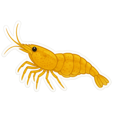 Neocaridina Shimp Stickers - 12 pack